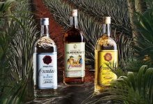 全球龍舌蘭酒市場2029年將達155.7億美元-酒展網