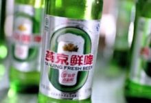 燕京鮮啤6月6日上新-酒展網