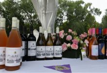 北京密云區8月將舉辦葡萄酒文化節,帶動“商農文旅”融合消費-酒展網