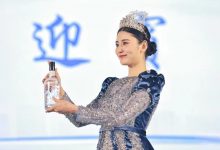 宜賓酒“迎賓”“禮賓”“貴賓”三款新品白酒發(fā)布-酒展網(wǎng)