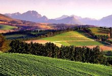 2024賀蘭山東麓葡萄酒銀川產區經銷商大會將于9月6日至8日在銀川舉辦-酒展網