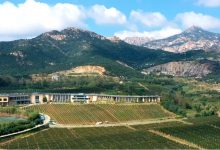 秦皇島：建設高品質碣石山葡萄酒產區-酒展網