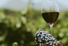 新西蘭葡萄酒出口量額雙降，出口額約93.36億元-酒展網