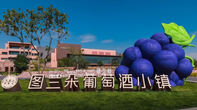 2025首屆葡萄酒風土文化雙年展在寧夏啟幕-酒展網